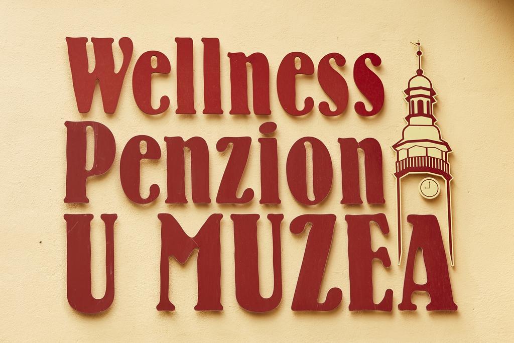 Pensión Wellness U Muzea 3*